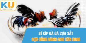 Chiến Thuật Đá Gà Cựa Sắt Cực Hay Cho Tân Binh Tại KUBET77
