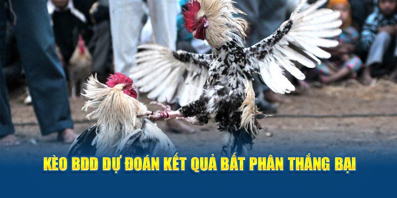 Kèo BDD dự đoán kết quả bất phân thắng bại 