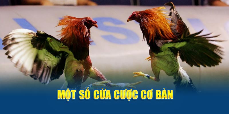 Một số cửa cược cơ bản