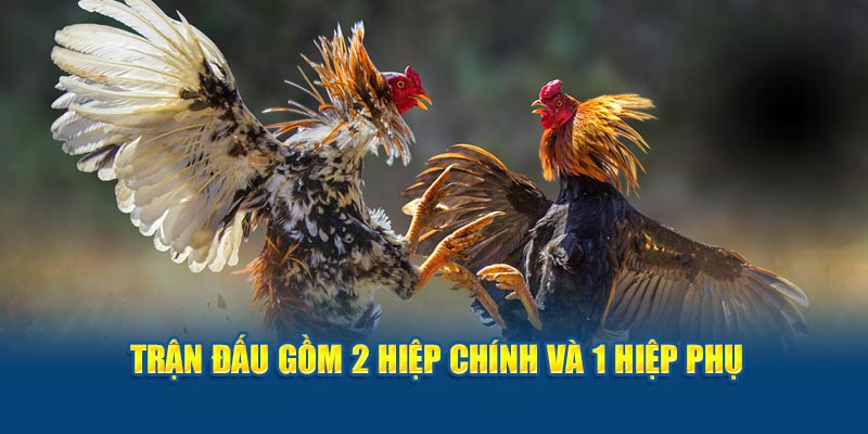 Trận đấu gồm 2 hiệp chính và 1 hiệp phụ 
